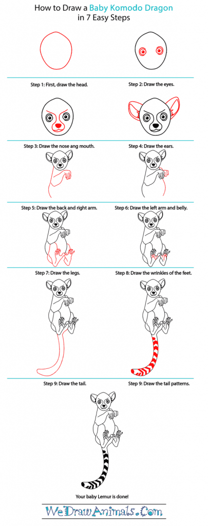 How to Draw a Baby Lemur
