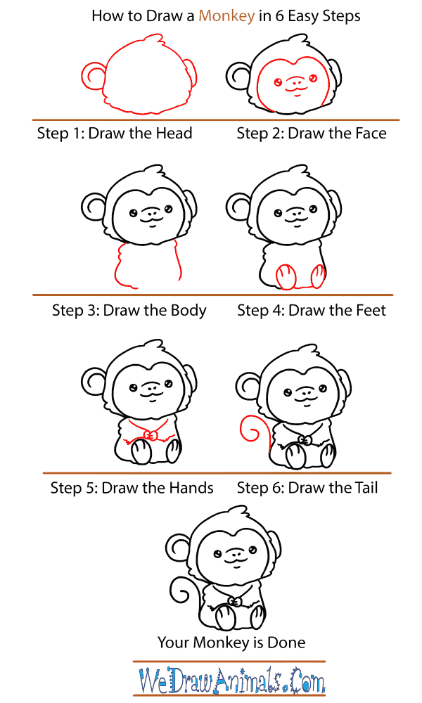 How to Draw a Baby Monkey - Step-by-Step Tutorial