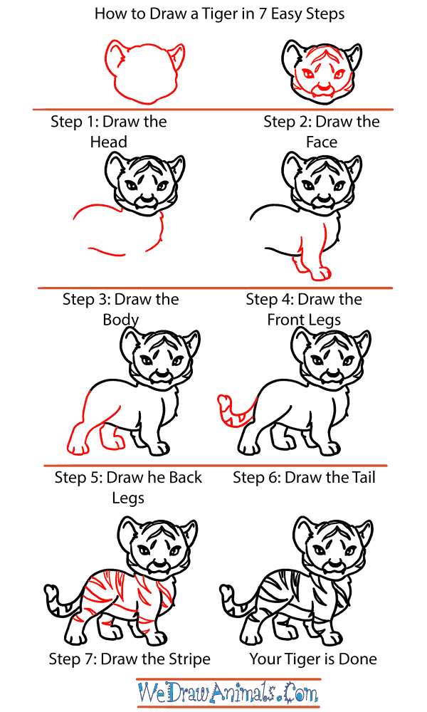 How to Draw a Baby Tiger - Step-by-Step Tutorial