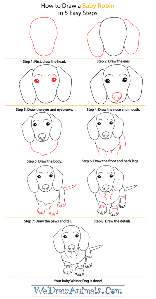 How to Draw a Baby Wiener Dog