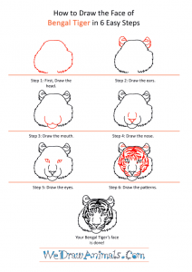 How to Draw a Bengal Tiger Face