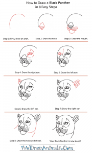 How to Draw a Black Panther Head