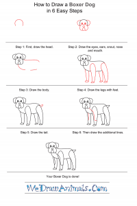 How To Draw A Simple Boxer Dog For Kids