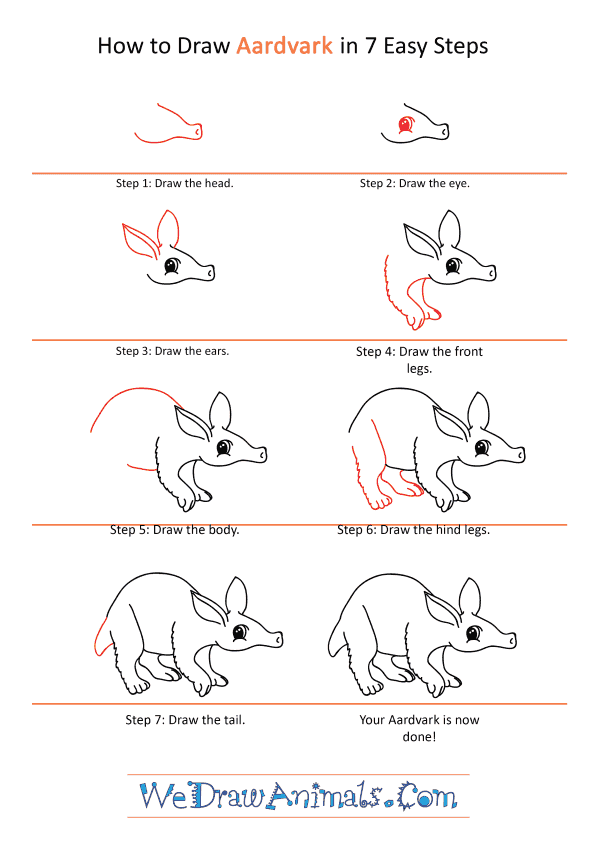 How to Draw a Cartoon Aardvark - Step-by-Step Tutorial