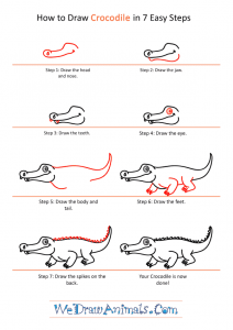 How to Draw a Cartoon Crocodile