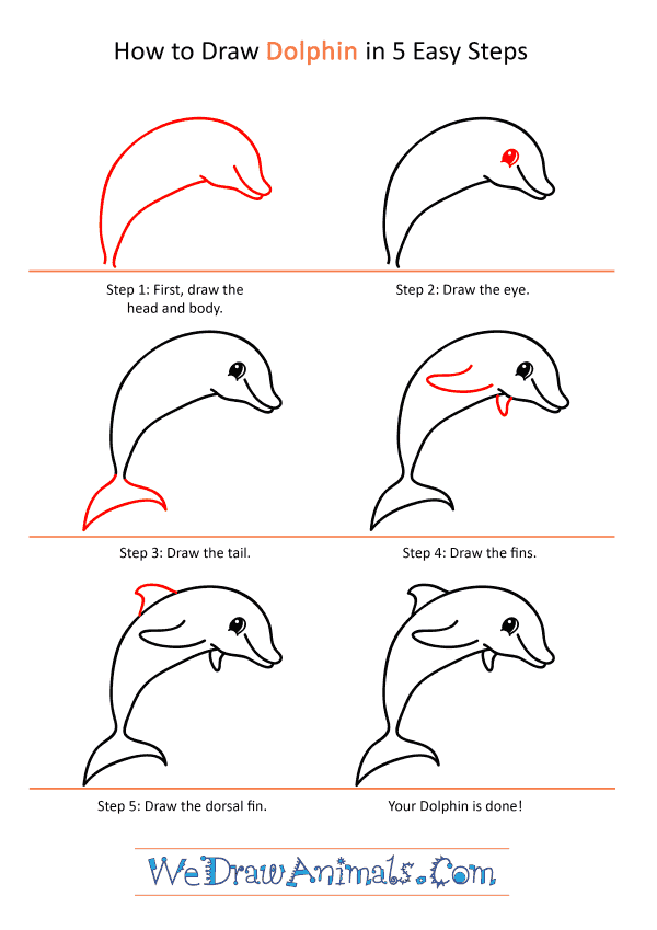 How to Draw a Cartoon Dolphin - Step-by-Step Tutorial