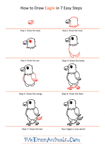 How to Draw a Cartoon Eagle