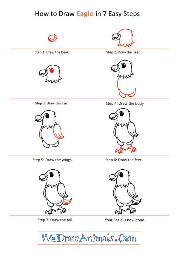 How to Draw a Cartoon Eagle - Step-by-Step Tutorial