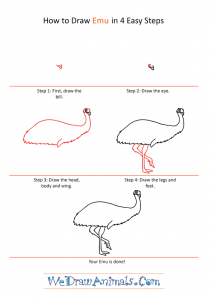 How to Draw a Cartoon Emu