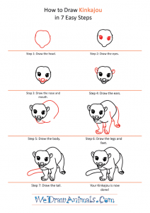 How to Draw a Cartoon Kinkajou