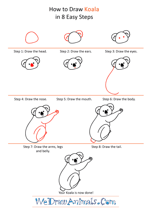 How to Draw a Cartoon Koala - Step-by-Step Tutorial
