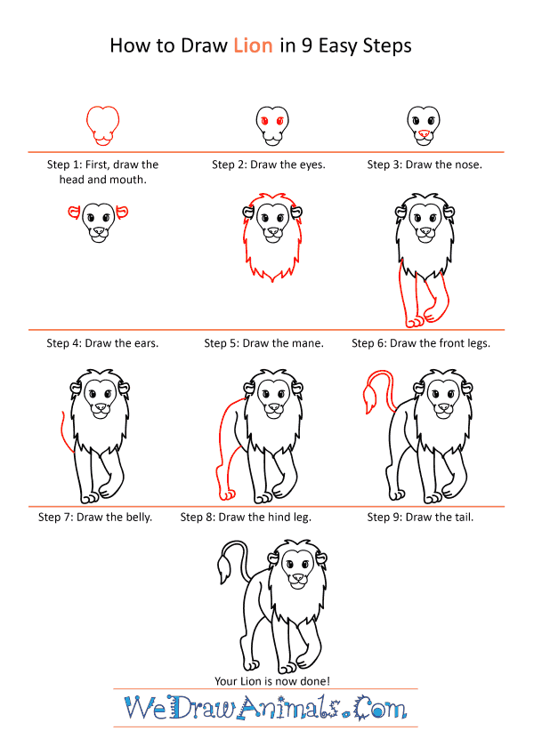 How to Draw a Cartoon Lion - Step-by-Step Tutorial