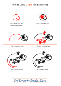 How to Draw a Cartoon Lizard