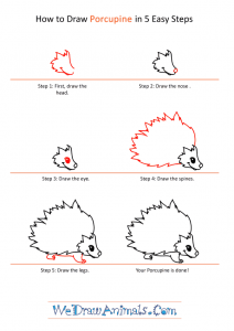How to Draw a Cartoon Porcupine