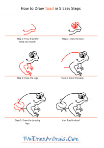 How to Draw a Cartoon Toad