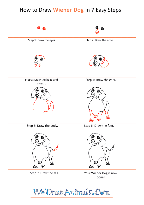 How to Draw a Cartoon Wiener Dog