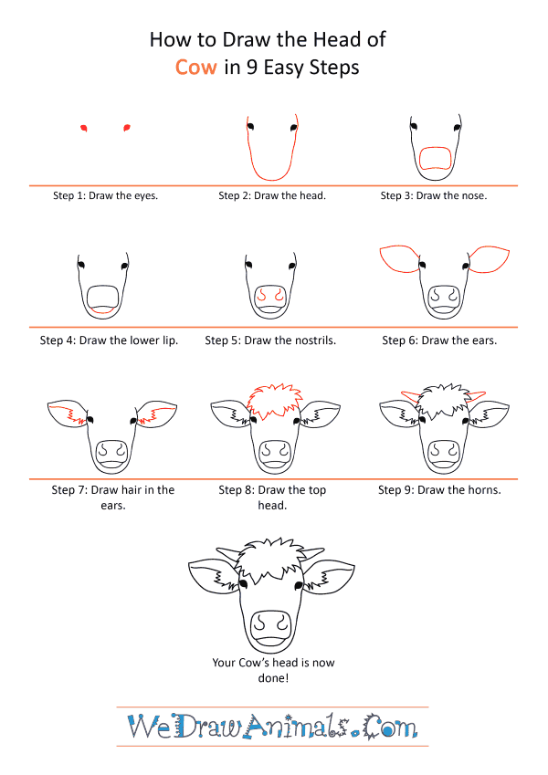 How to Draw a Cow Face - Step-by-Step Tutorial