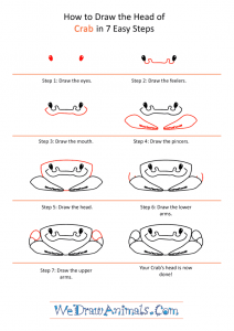 How to Draw a Crab Face