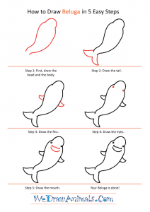 How to Draw a Cute Beluga