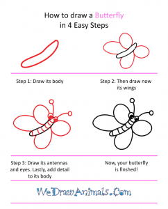 How to Draw a Cute Butterfly