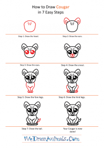 How to Draw a Cute Cougar