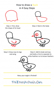 How to Draw a Cute Eagle