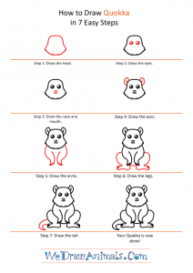 How to Draw a Cute Quokka
