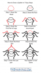 How to Draw a Cute Spider