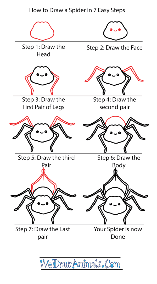 How To Draw A Cute Spider