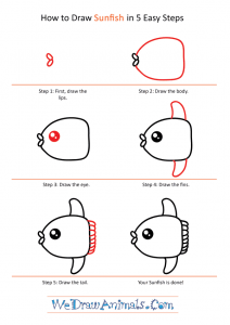 How to Draw a Cute Sunfish