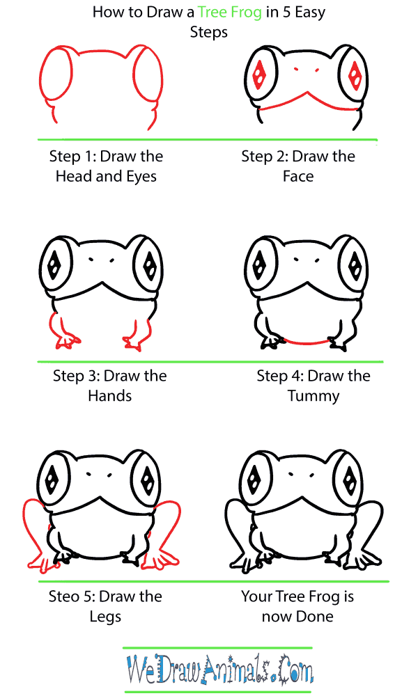 How to Draw a Cute Tree Frog