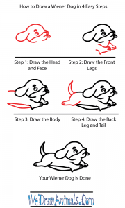 How to Draw a Cute Wiener Dog