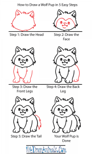 How to Draw a Cute Wolf Pup