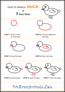 How to Draw a Simple Duck for Kids