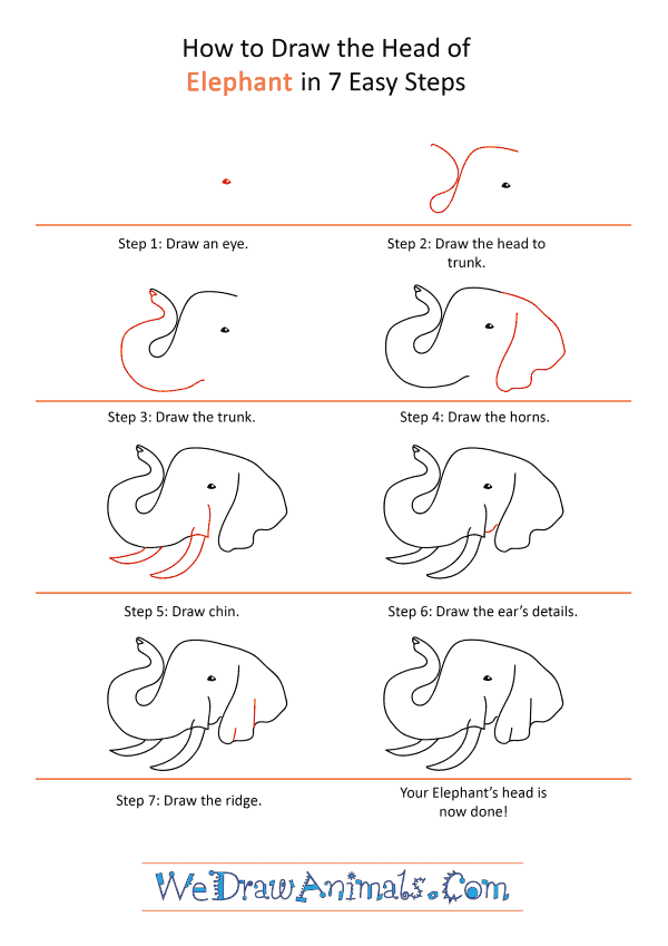 How to Draw an Elephant Face - Step-by-Step Tutorial