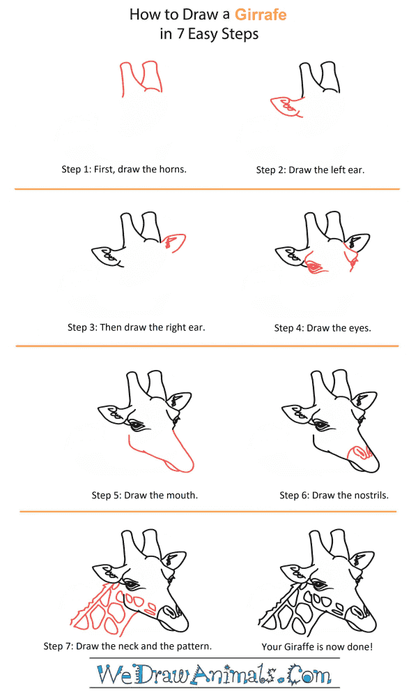 How to Draw a Giraffe Head - Step-by-Step Tutorial
