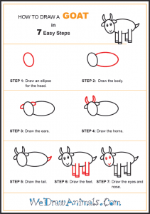 How to Draw a Simple Goat for Kids