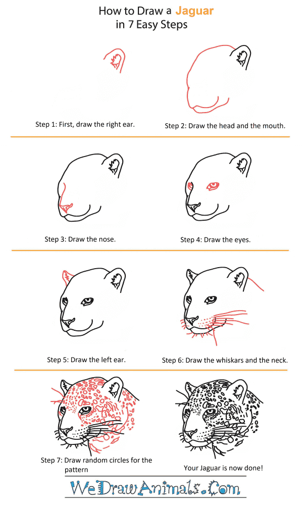 How to Draw a Jaguar Head - Step-by-Step Tutorial