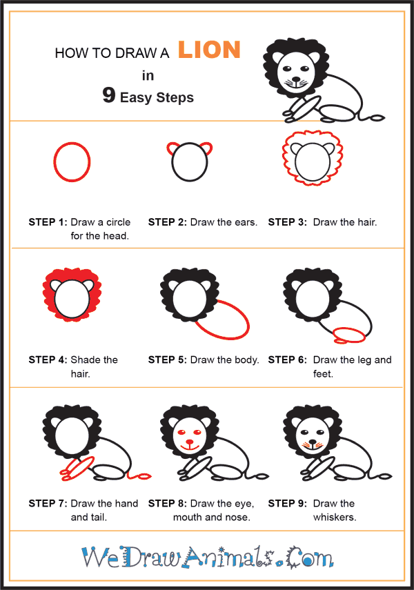 How to Draw a Lion for Kids - Step-by-Step Tutorial