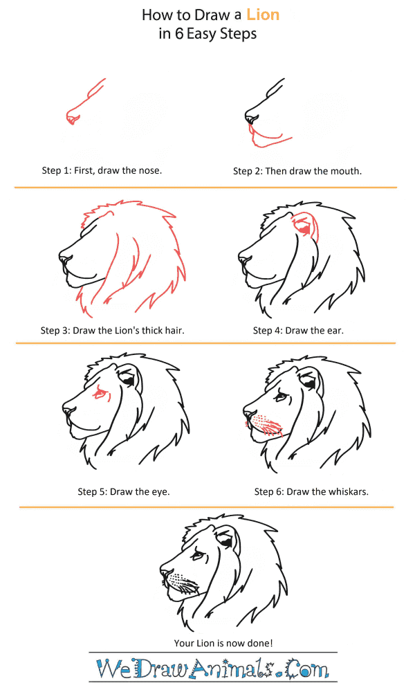 How to Draw a Lion Head - Step-by-Step Tutorial