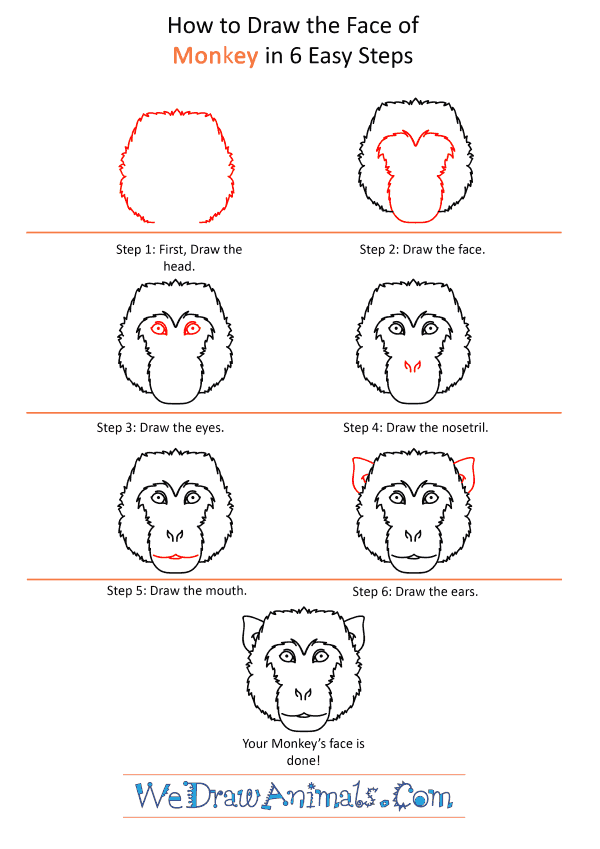 How to Draw a Monkey Face - Step-by-Step Tutorial