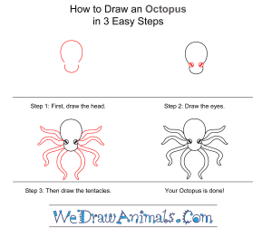 How to Draw a Simple Octopus for Kids