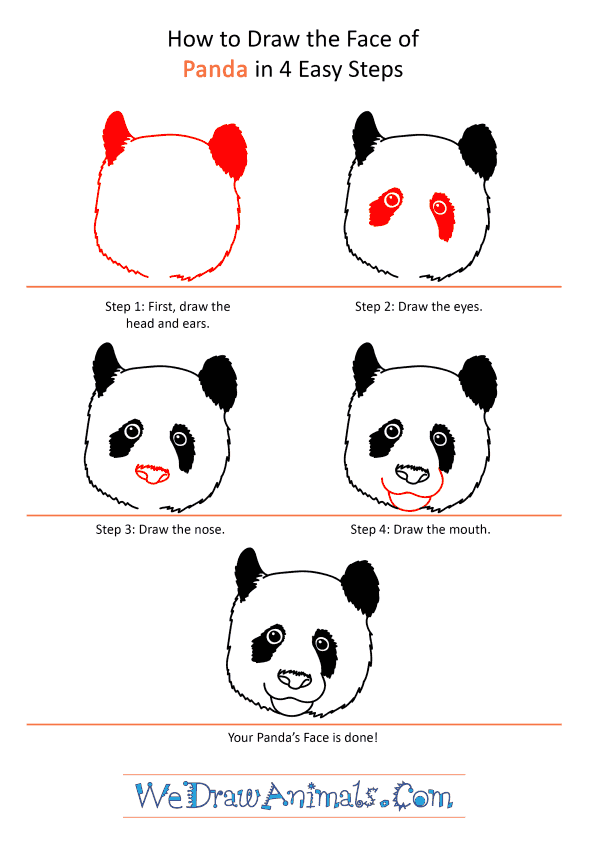 How to Draw a Panda Face - Step-by-Step Tutorial