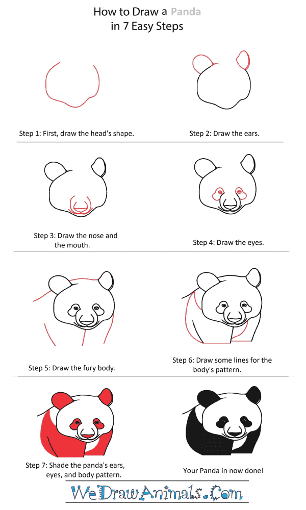 How to Draw a Panda Head - Step-by-Step Tutorial
