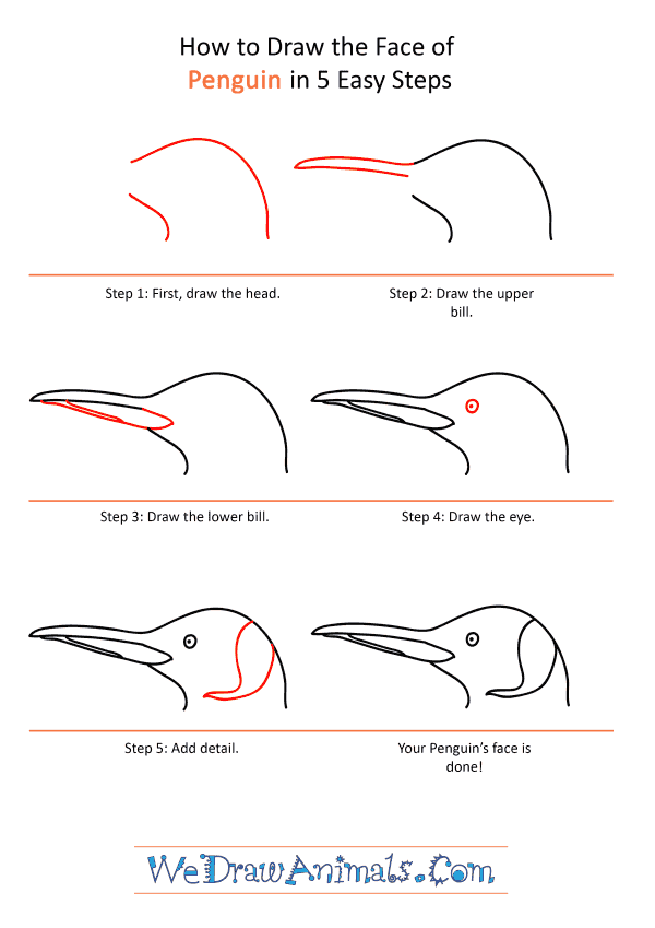 How to Draw a Penguin Face - Step-by-Step Tutorial