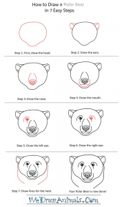 How to Draw a Polar Bear Head