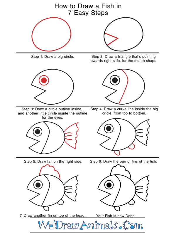 How to Draw a Realistic Fish - Step-by-Step Tutorial