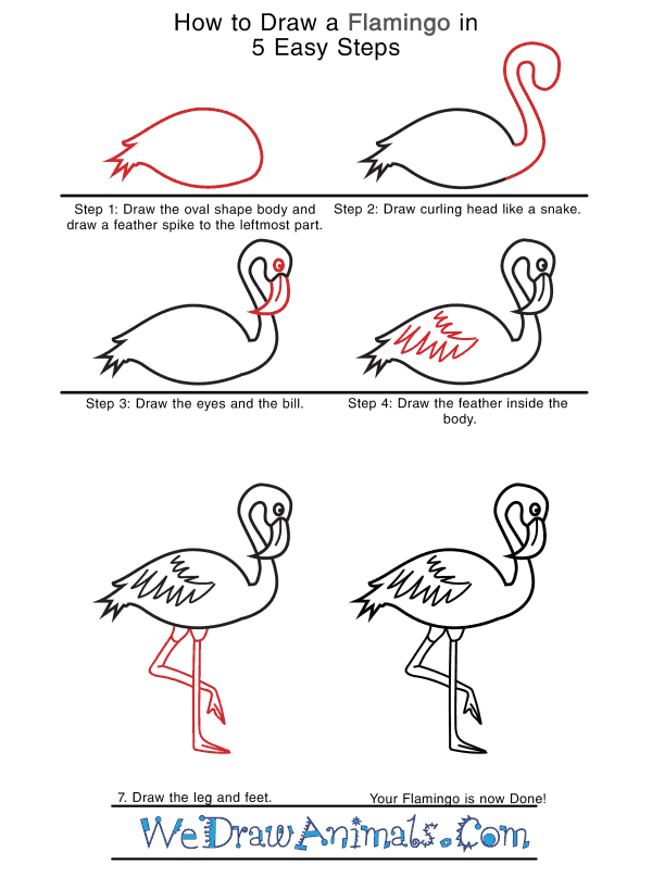 realistic flamingo drawing