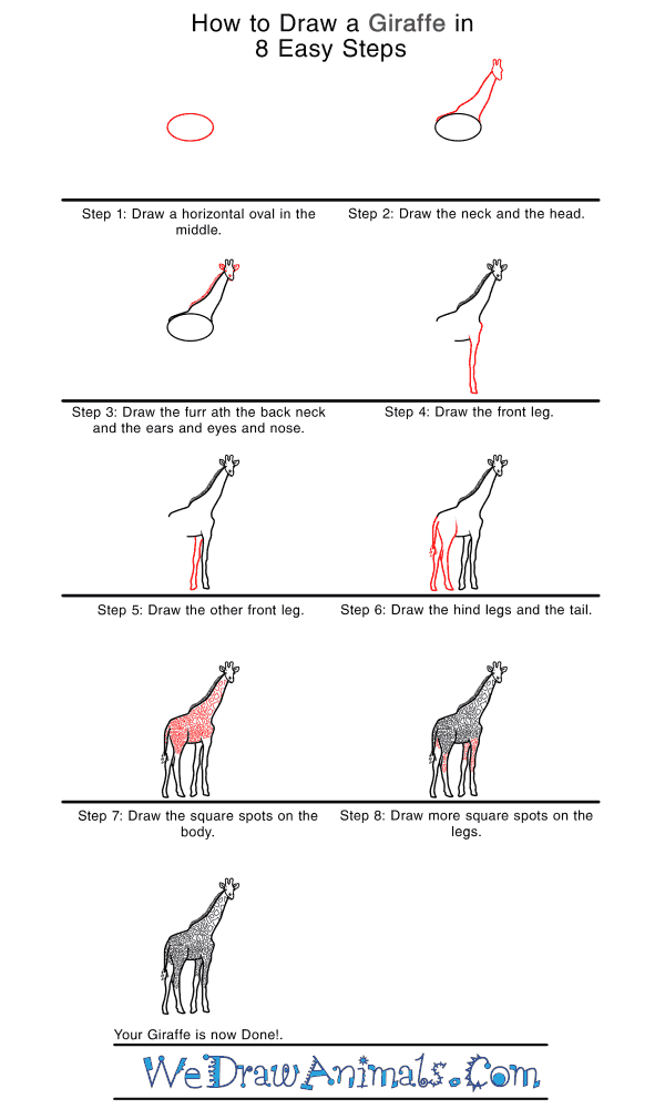How to Draw a Realistic Giraffe - Step-by-Step Tutorial