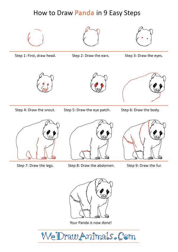 How to Draw a Realistic Panda - Step-by-Step Tutorial
